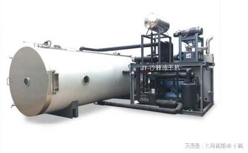 沙棘凍干粉技術和沙棘凍干機設備